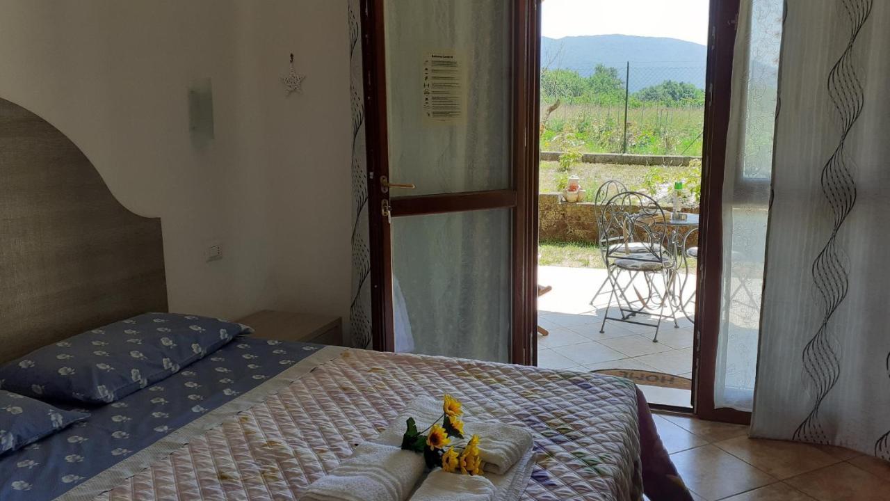 B&B Il Pizzagiallo Massa Martana Exterior foto